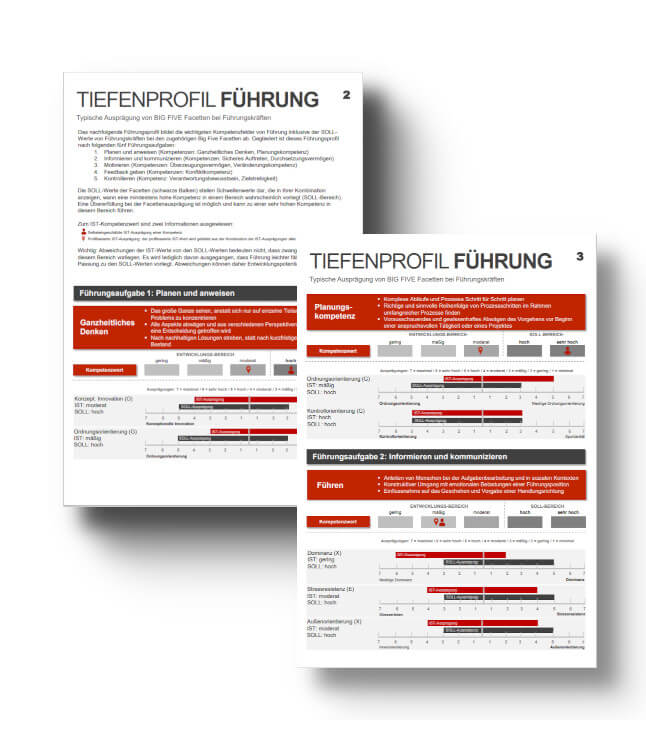 Tiefenprofil_Fuhrung_FINAL